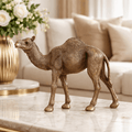 Sculptures & Figurines Calm Camel - Daamaira Home and Living Ltd