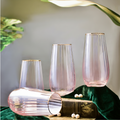 Drinking Glasses Lush Set Of 4 High Ball Glasses - Daamaira Home and Living Ltd