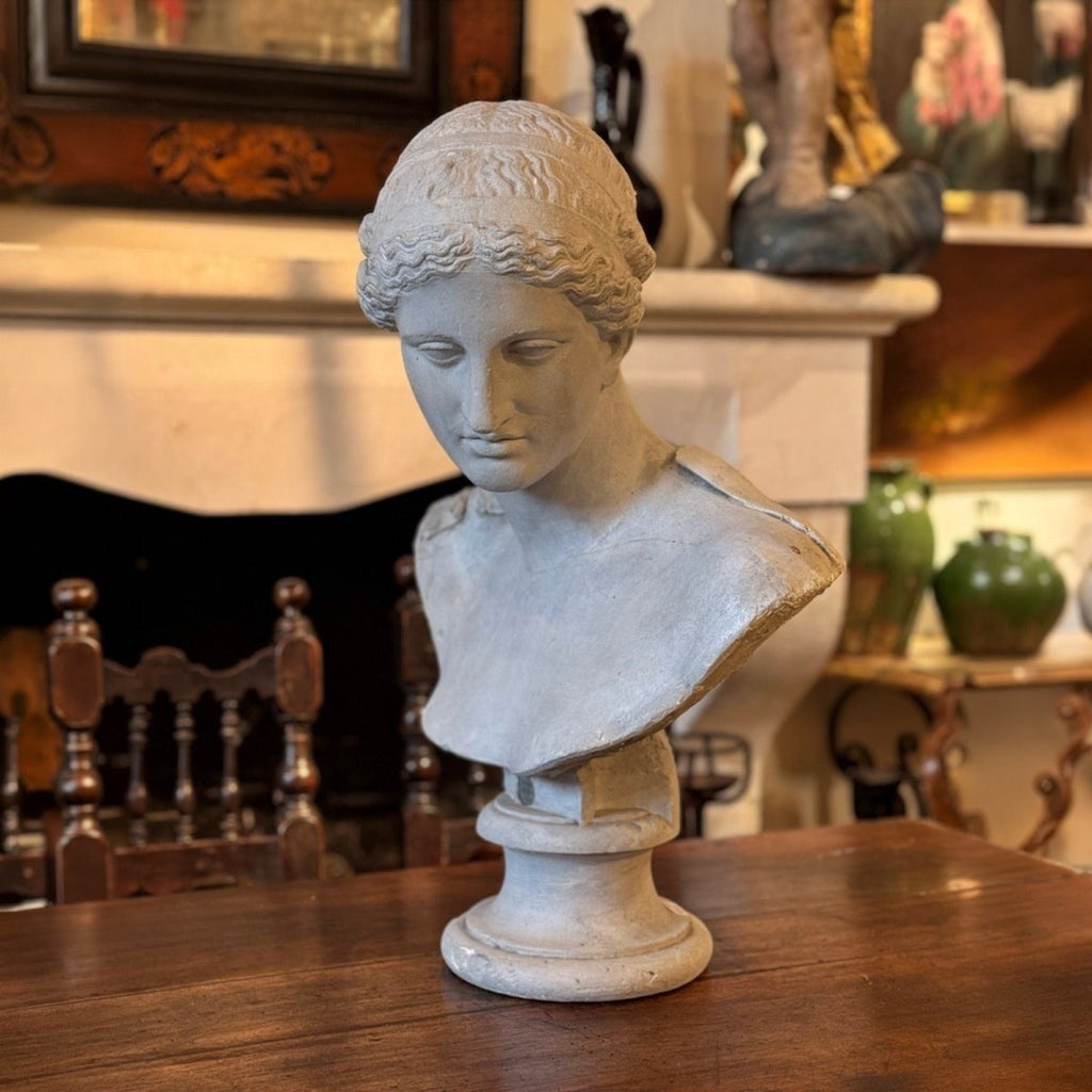 Sculptures & Figurines The European Lady Bust - Daamaira Home and Living Ltd