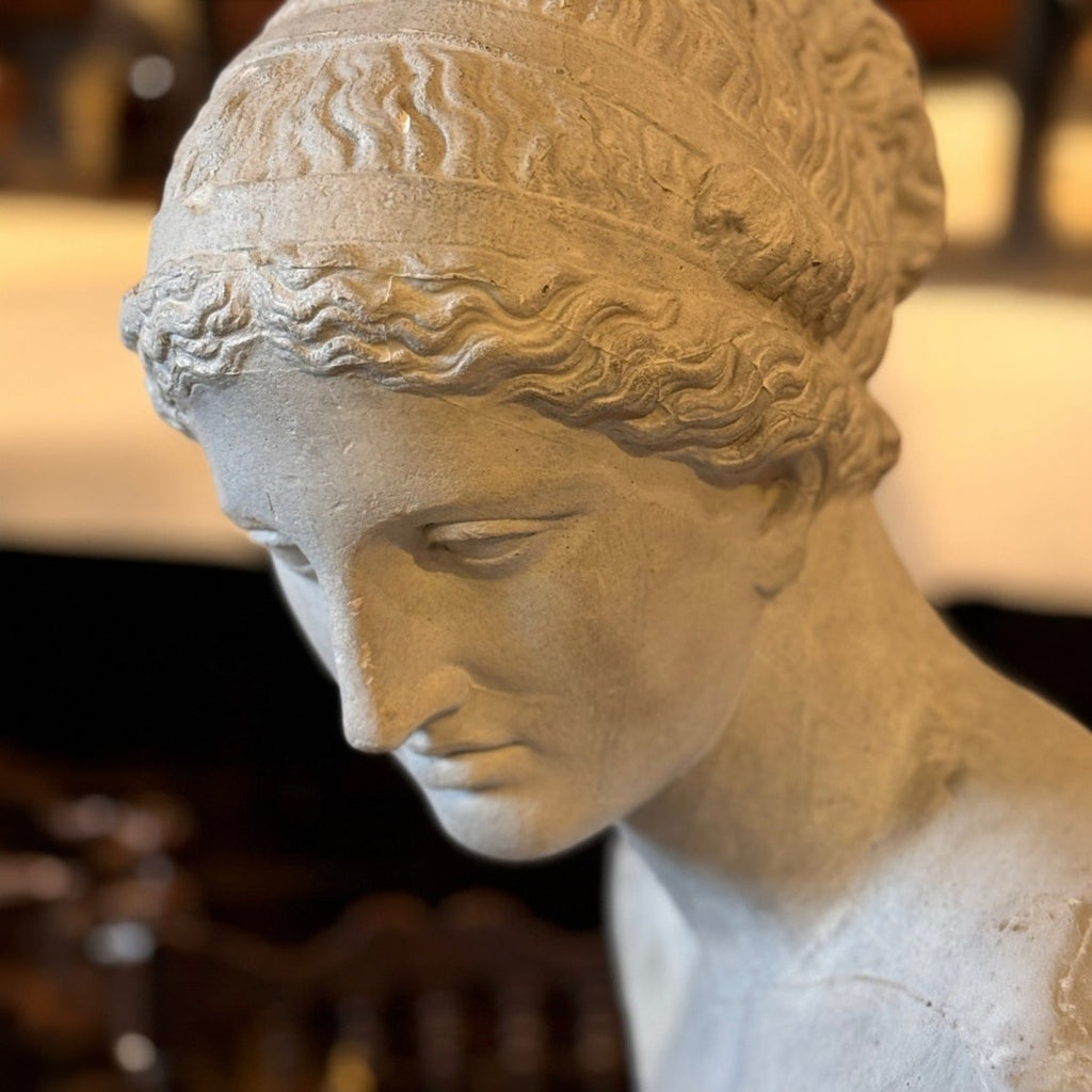 Sculptures & Figurines The European Lady Bust - Daamaira Home and Living Ltd