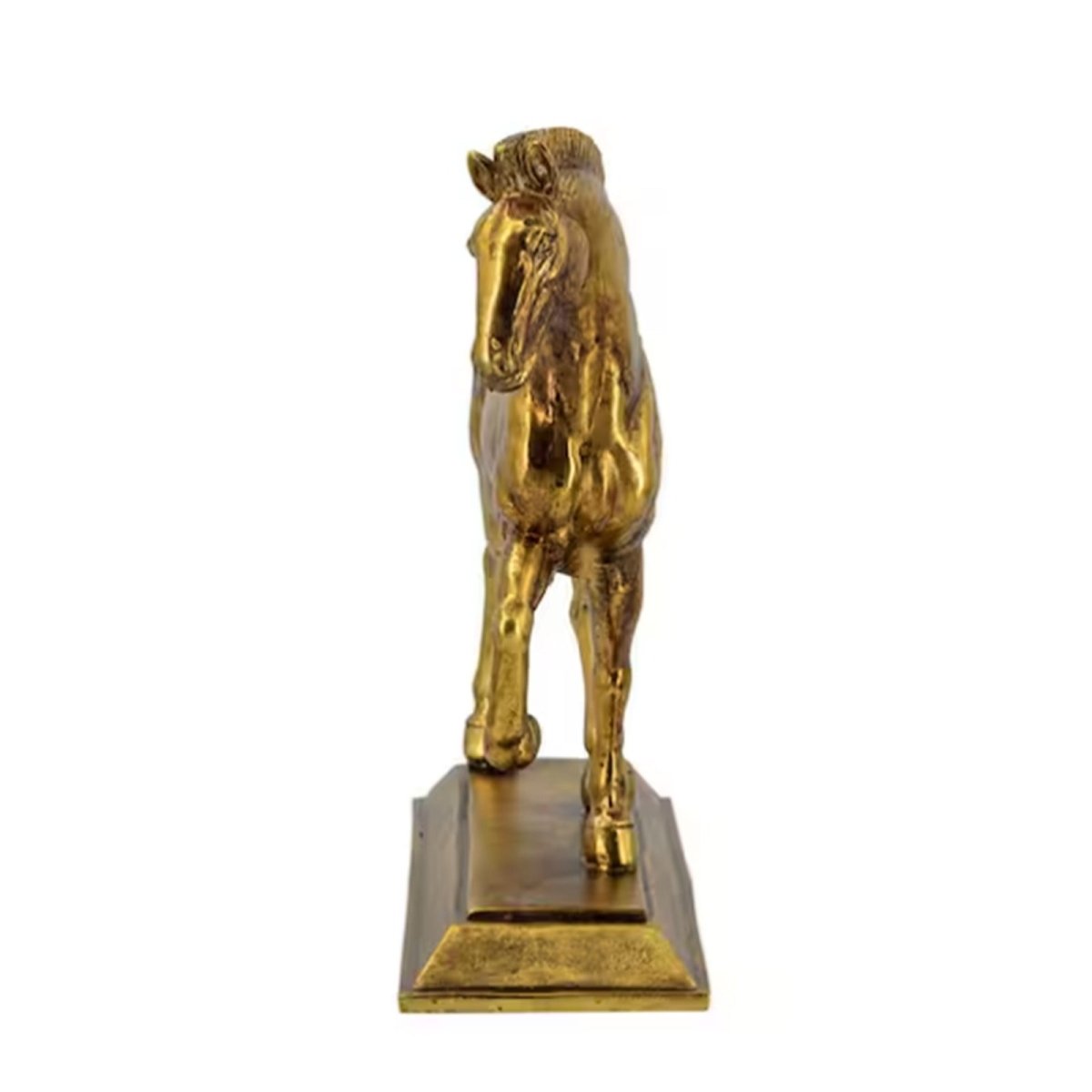 The Golden Horse - Daamaira Home and Living Ltd